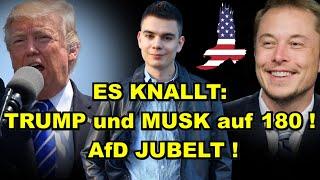 TRUMP & MUSK auf 180! AfD JUBELT!