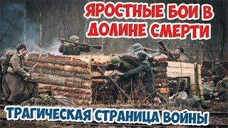 Гибель 2-й ударной армии в Волховском котле | Мясной Бор | Великая Отечественная