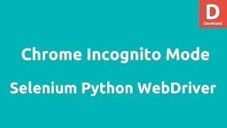 Python Selenium Open Chrome Incognito Browser Tab