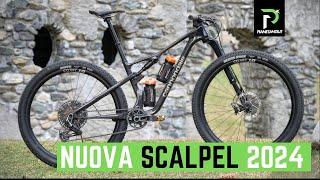 Neues Cannondale Scalpel 2024 – 120 mm, reines XCO Racing