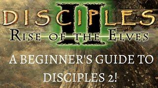 Disciples 2 Beginner's Guide