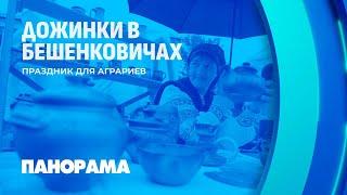 В Бешенковичах стартовали районные праздники тружеников села "Дожинки-2024". Панорама