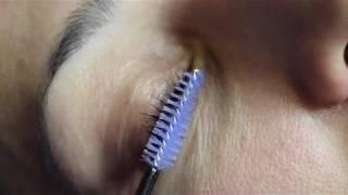 Elleebana Lash Lift & Tint at Grace Medical Aesthetics