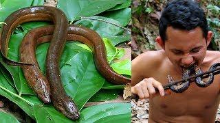 Wilderness Life: Eel Trap | Show Find Hunting Eels living In Ancient Times to survival