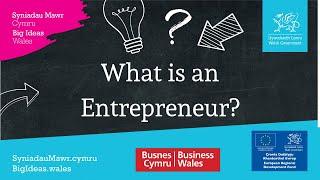 What is an entrepreneur?