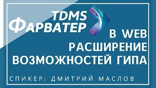 TDMS Фарватер в WEB. Расширение возможностей ГИПа