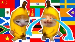 Happy Banana Cat in 60 different languages meme lemon mix