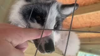 Happy Saturday! Fox Tales Florida check in!