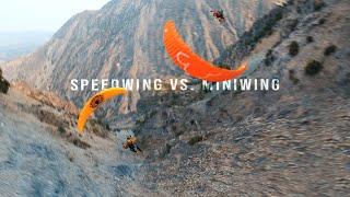 Speedwing VS Miniwing Flight