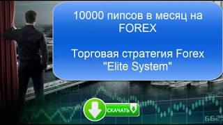 10000 пипсов в месяц на FOREX