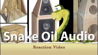 Reaction zu Snake Oil Audio Reaction Video zu Phono Phono Berlin & Fidelity Hamburg - Mein HiFi Weg