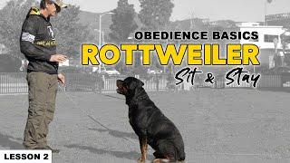 Teach Your Rottweiler to Sit and Stay - Basic Obedience - lesson 2 - Dog Training Video