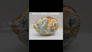 They aren't all winners #beading #crafting #fails