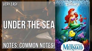 How to play Under the Sea (The Little Mermaid) by Samuel E Wright on Tin Whistle (Tutorial)