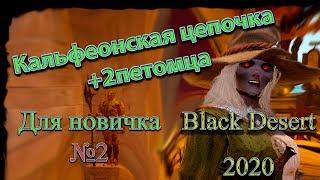 Гайд для новичка №2 в Black Desert 2020