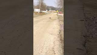 Traxxas Slash 4x4 is Very Hard to Control!