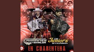 El Jr (feat. Los Juniors De California)