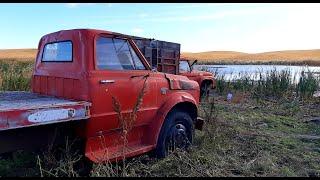 Will This Retired 1969 Chevrolet C50 Truck RUN AND DRIVE?