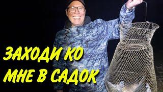 ЗАХОДИ КО МНЕ В САДОК)КАК ПОПЕРЛО ВЕЧЕРОМ!