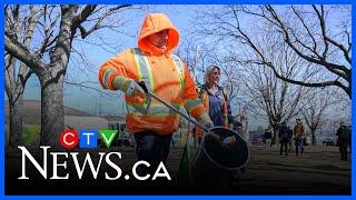 Early start to spring cleaning in Montreal