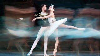 Swan Lake   White Swan Adagio Anastasiia Shevchenko Denis Nedak  29 01 19