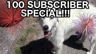 100 Subscriber Special: Farm Tour!