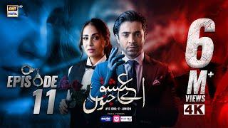 Aye Ishq e Junoon Episode 11 | Ushna Shah | Sheheryar Munawar | 16 Dec 2024 | ARY Digital