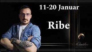 RIBE 11 - 20 Januar