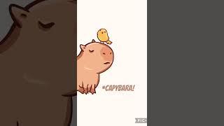 Capybara Song Official Music Video! (*CONCEPT*)