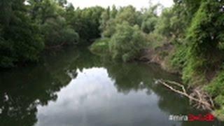 Mira Sanse: el río Jarama HD