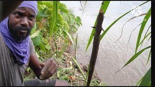 Fishing on the river side || Look what I cought  || Must watch || #Adventure