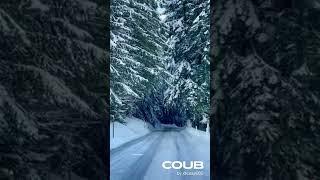 winter forest nature  relax music  4k