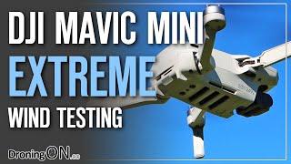 DJI Mavic Mini EXTREME Wind Testing (38kph/25mph)