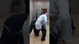 Аист - применение Циньна  #kungfumaster #боевыеискусства #kungfu