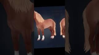 Cookie,  Coco, Cherry #sso #horse #konie #starstable #starstableonline