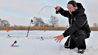 ВОТ ЭТО ПОПАЛ НА ЖОР. Щука глотает всё, что ей опускаю. Рыбалка на вибы и жерлицы зимой со льда