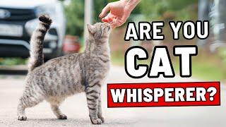 15 Signs You Are a Real Cat Whisperer