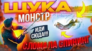 ЩУКА МОНСТР СЛОМАЛА СПИННИГ | РЕКА ЕЛОГУЙ 2023