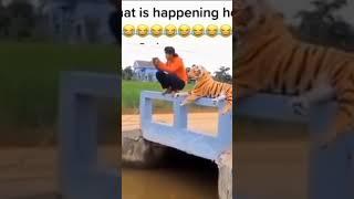 funny video