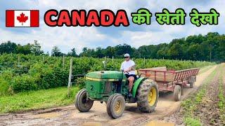 कनाडा में खेती  Canada farming |  Downey's Farm Market | Canadian Vlogger | Vlog 16