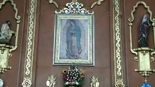 Novenario a Nuestra Señora de Guadalupe 2020