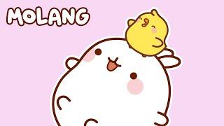 ALL the Season of Molang and Piu Piu  Kitoons New Friends | Funny Cartoons in English