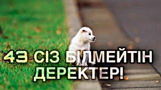 ӘЛЕМНІҢ ҚЫЗЫҚТЫ ДЕРЕКТЕРІ! | 44 ИНТЕРЕСНЫЕ ФАКТЫ!