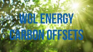 WGL Energy | What is a Carbon Offset?