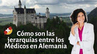 ¿Cómo son las jerarquías entre los Médicos en Alemania?