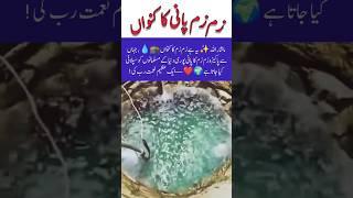 ZAM ZAM  WATER IN MAKKAH#shortsfeed #allah #viral #pakistan #india #fyp #viralvideo #love #comment