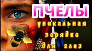 Уникальная зарядка для глаз "Пчелы"