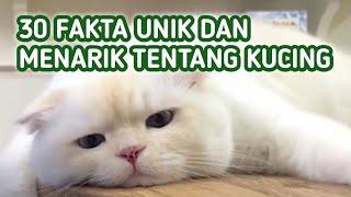 30 Fakta Unik dan Menarik Tentang Kucing