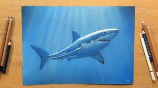 Shark Drawing in Pastel Pencil and Colored Pencil