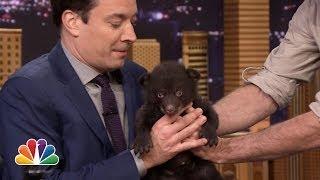 Jeff Musial Shows Off His Bear Cub